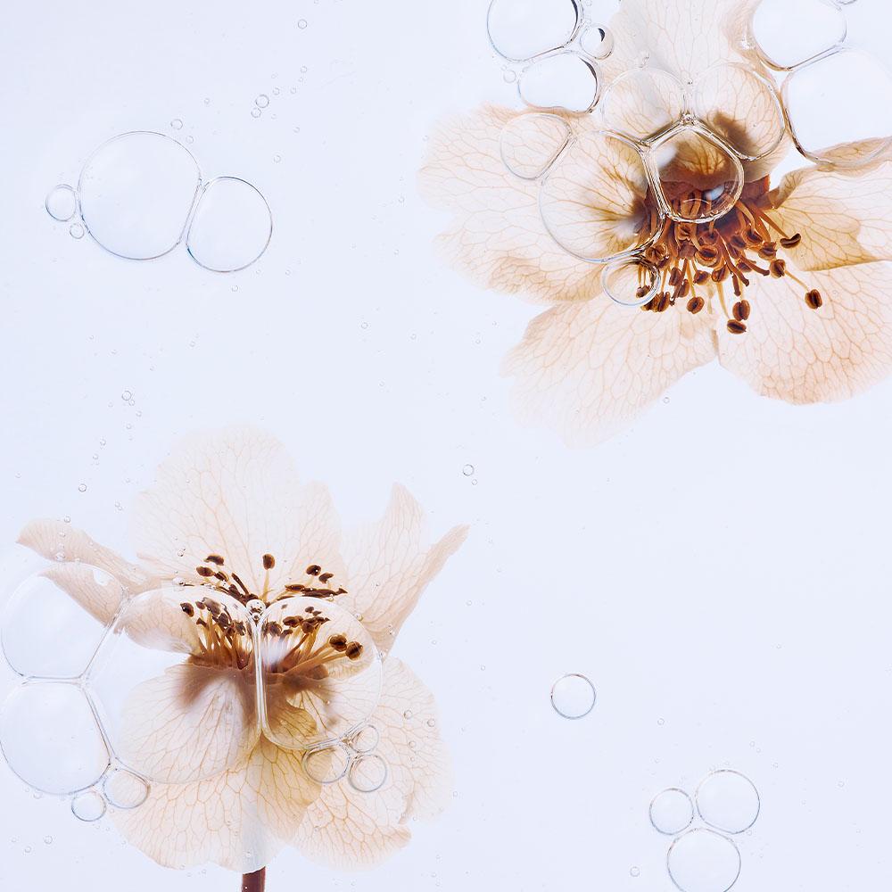 Organic Pear Blossom Essence Toner
