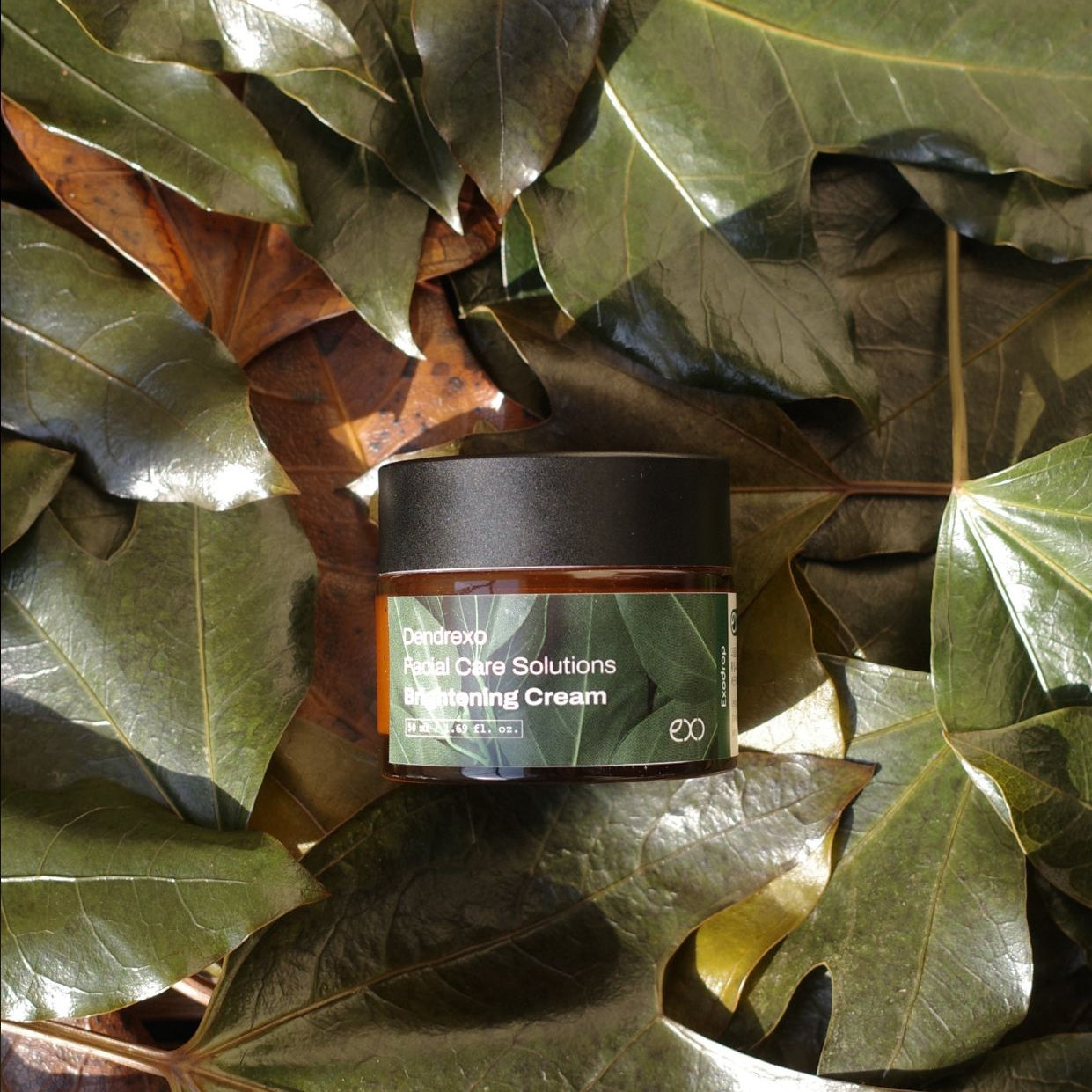 Anti-aging rozjasňující krém s rostlinnými exosomy