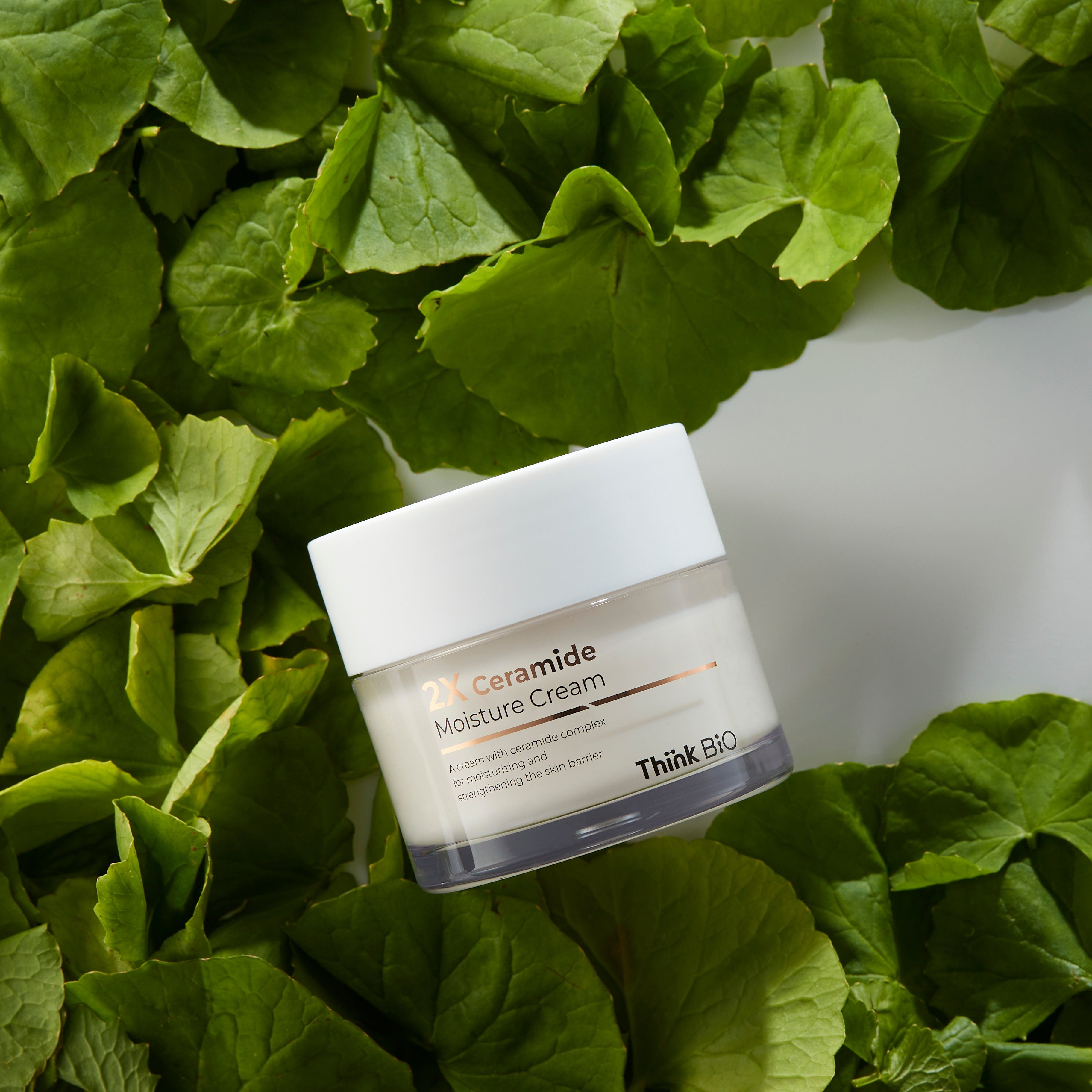 2X CERAMIDE MOISTURE CREAM